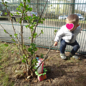 Junge findet ein Osternest