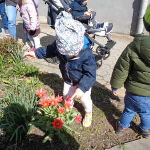Bei einem Spaziergang schaut sich ein kleines Mädchen eine Blume an