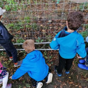 Kinder versuchen, einen Ball zu holen.