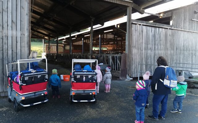 Krippenkinder besuchen den Bauernhof