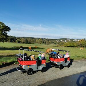 Krippenkinder sitzen im Bollerwagen und schauen sich die Kühe an